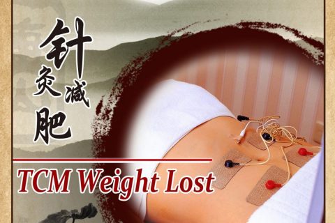 TCM Weight Loss | 针灸减肥